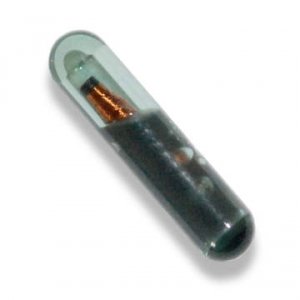 Transponder ID 13 - Keys for trucks